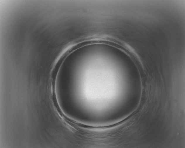 X0000080201368200612152029