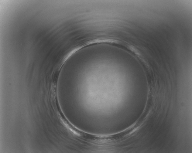 X0000080201369200612152029