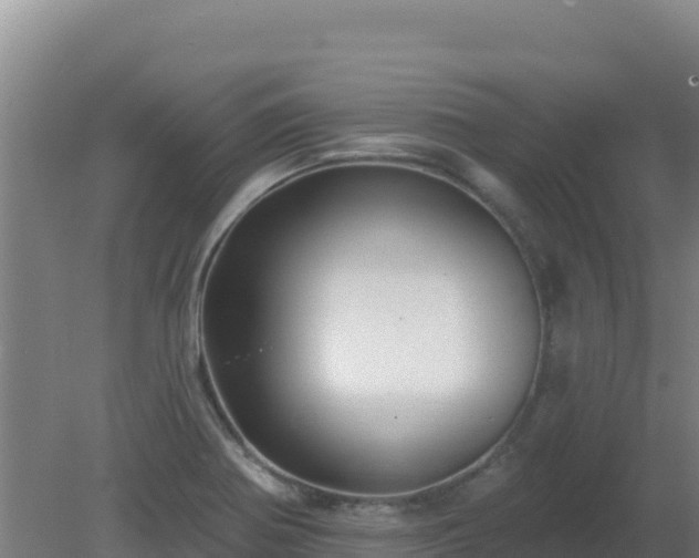 X0000080201370200612152029