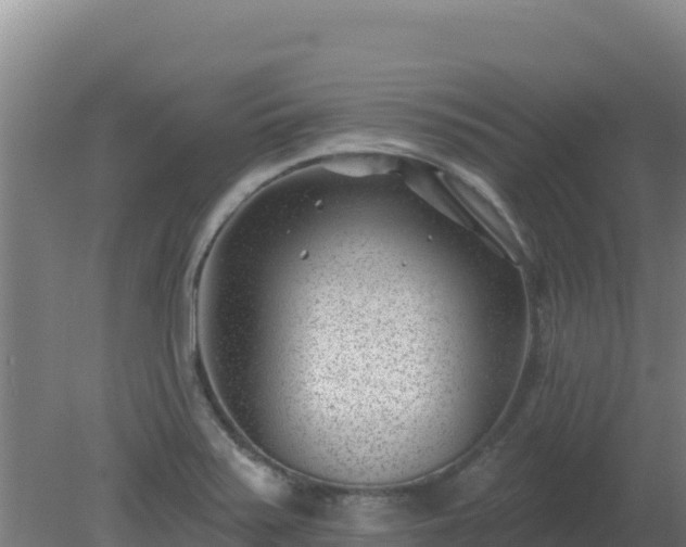 X0000080201371200612152029