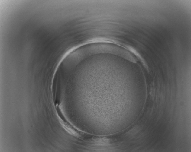 X0000080201372200612152029