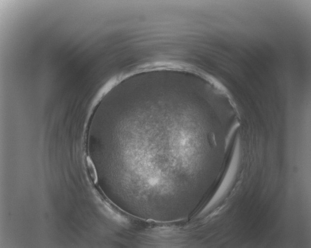 X0000080201373200612152029