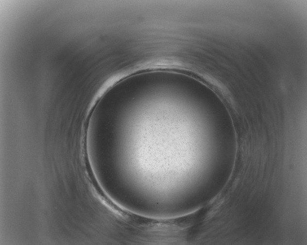 X0000080201374200612152029