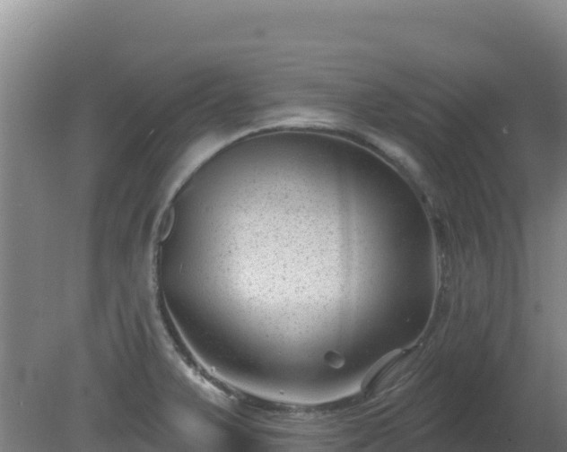 X0000080201375200612152029