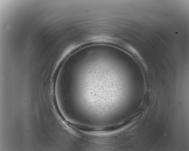 X0000080201376200612152029