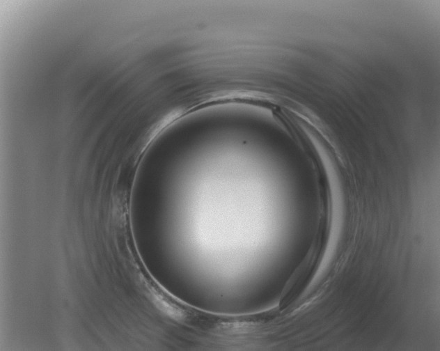 X0000080201377200612152029