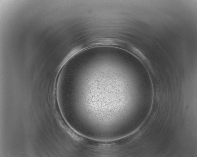 X0000080201378200612152029