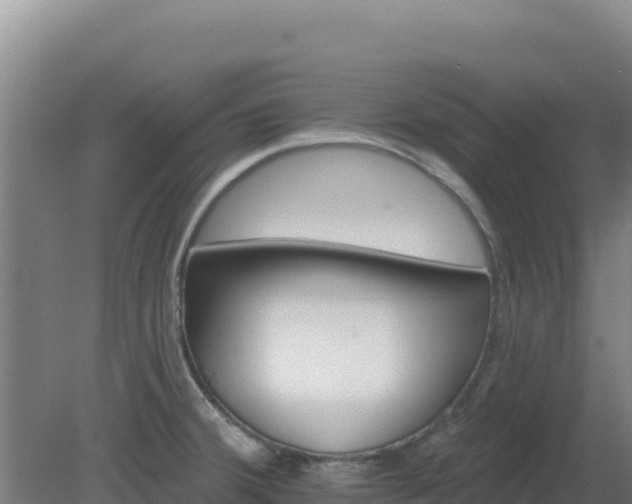 X0000080201380200612152029