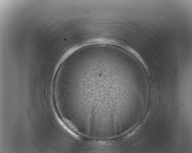 X0000080201381200612152029