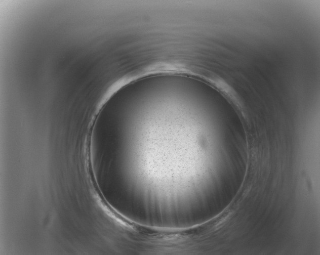 X0000080201382200612152029