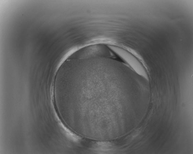 X0000080201383200612152029