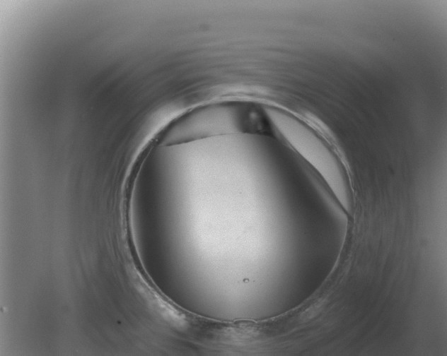 X0000080201384200612152029