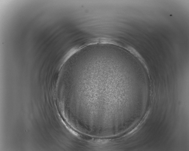 X0000080201385200612152029