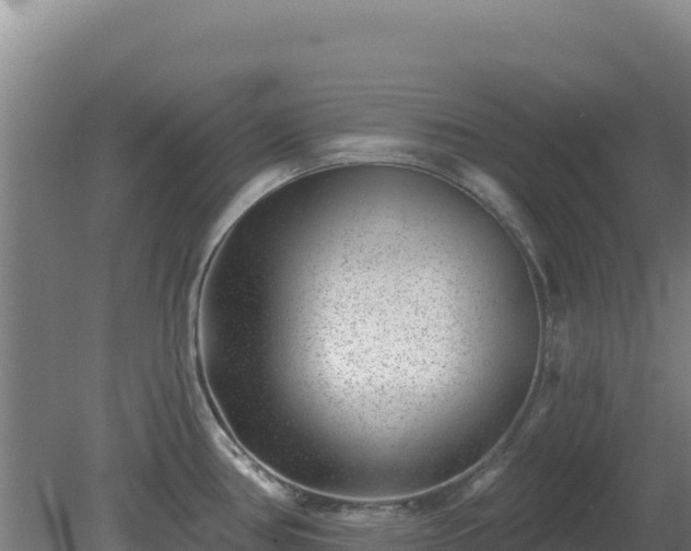 X0000080201386200612152029