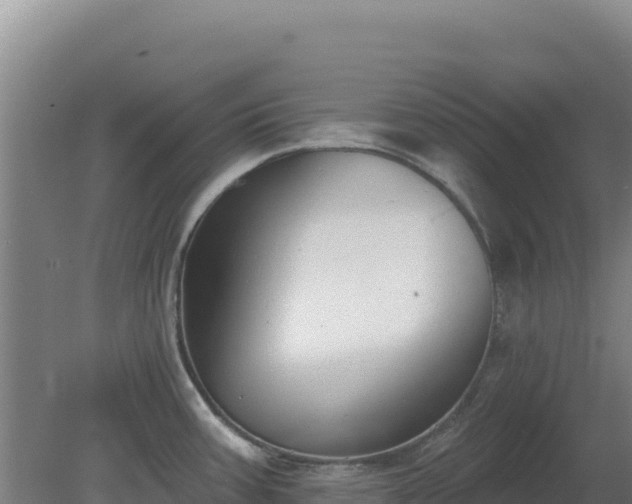 X0000080201387200612152029