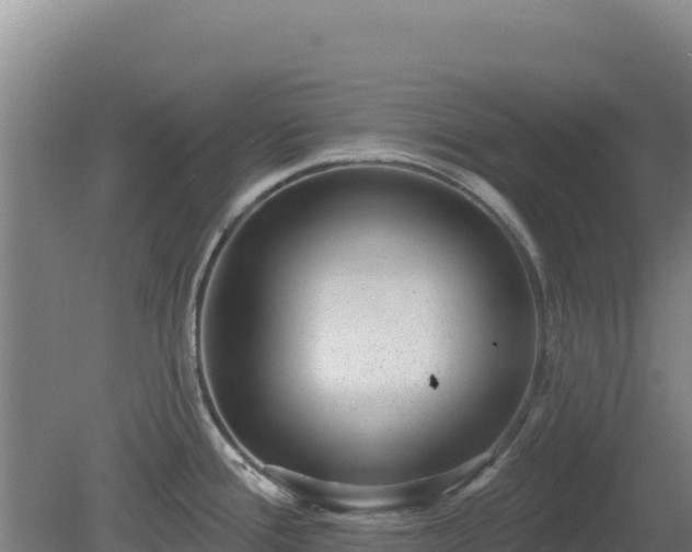 X0000080201388200612152029