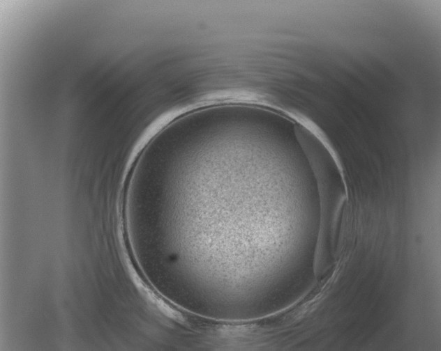 X0000080201389200612152029