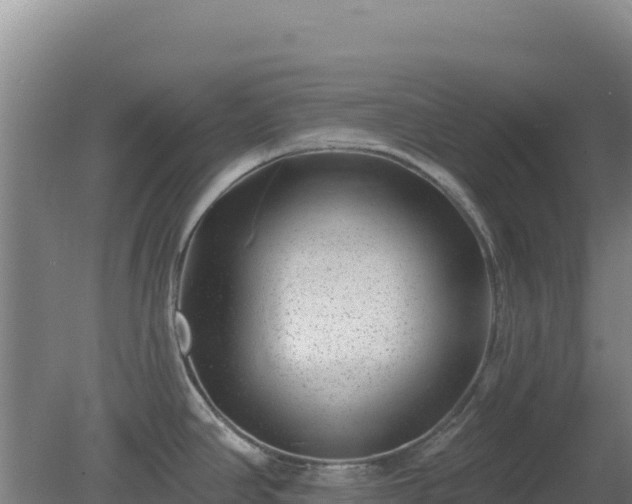 X0000080201390200612152029