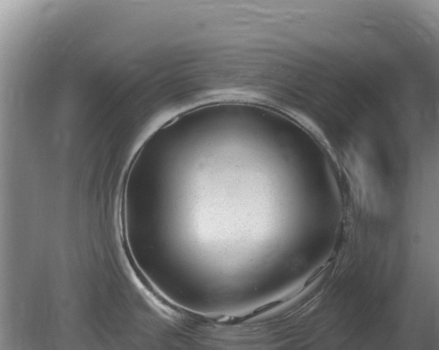 X0000080201391200612152029