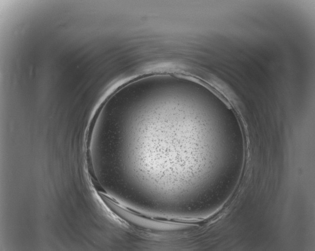 X0000080201392200612152029