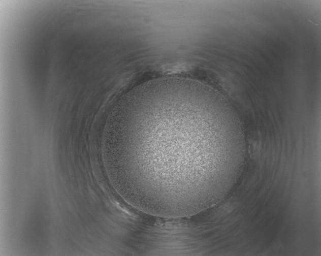 X0000080201393200612152028