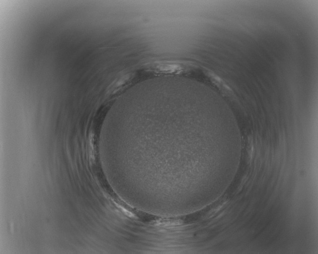 X0000080201394200612152028