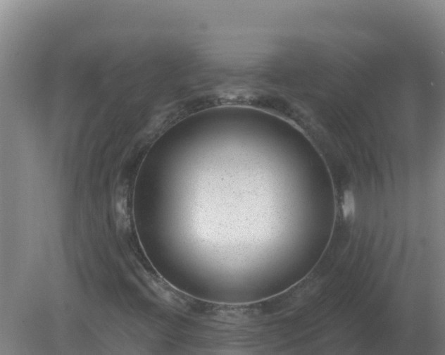 X0000080201396200612152028