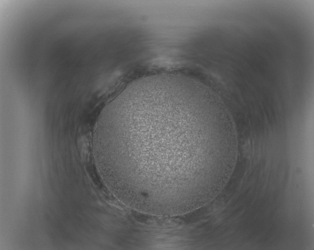 X0000080201397200612152028