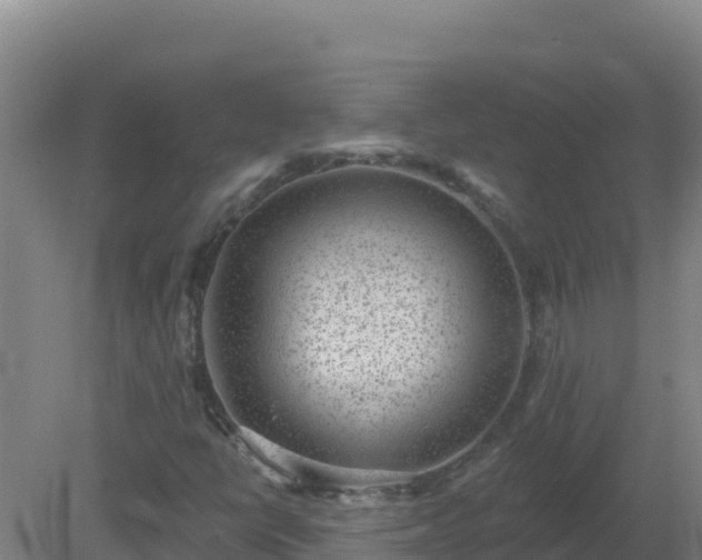 X0000080201398200612152028