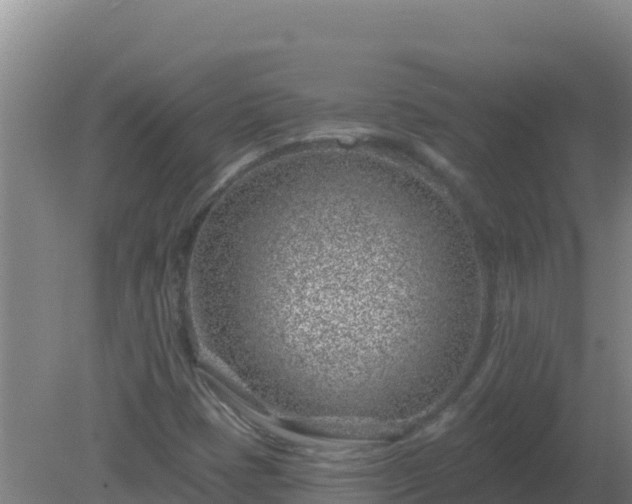 X0000080201401200612152028