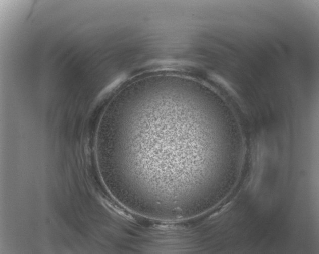 X0000080201403200612152028