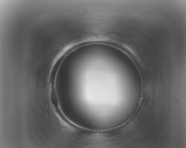 X0000080201414200612152028