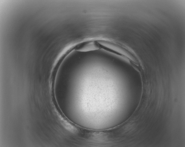 X0000080201416200612152028