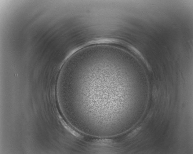 X0000080201417200612152028