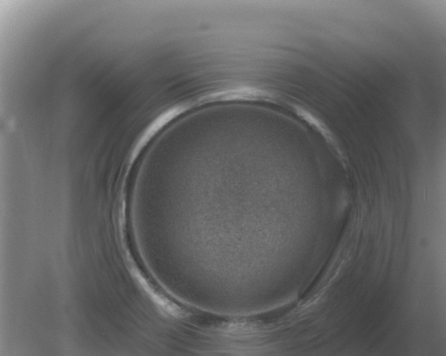 X0000080201418200612152028