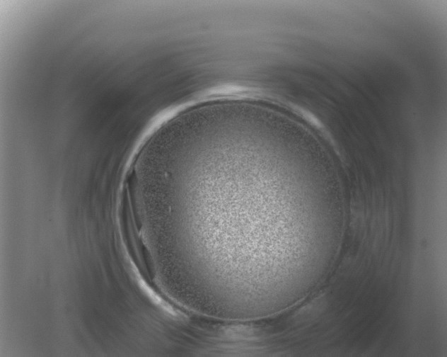 X0000080201421200612152028