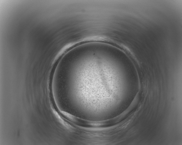 X0000080201422200612152028