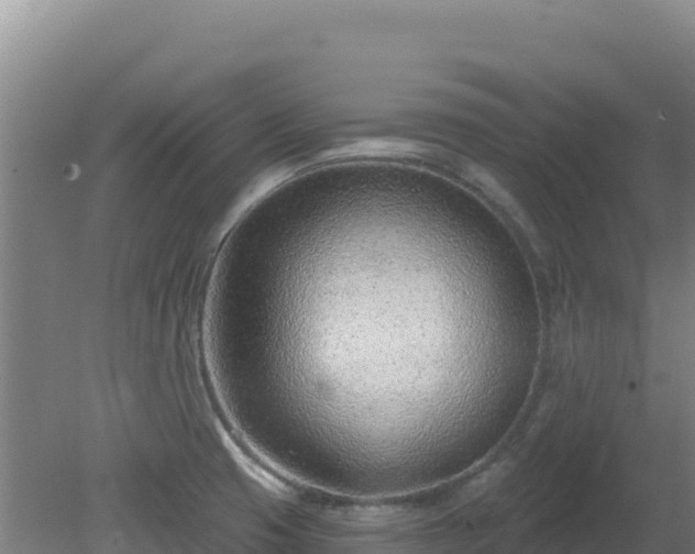 X0000080201425200612152028