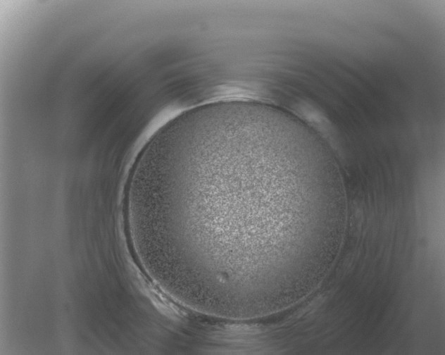 X0000080201427200612152028