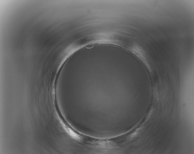 X0000080201428200612152028