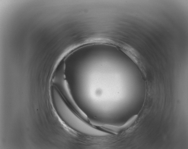 X0000080201430200612152028