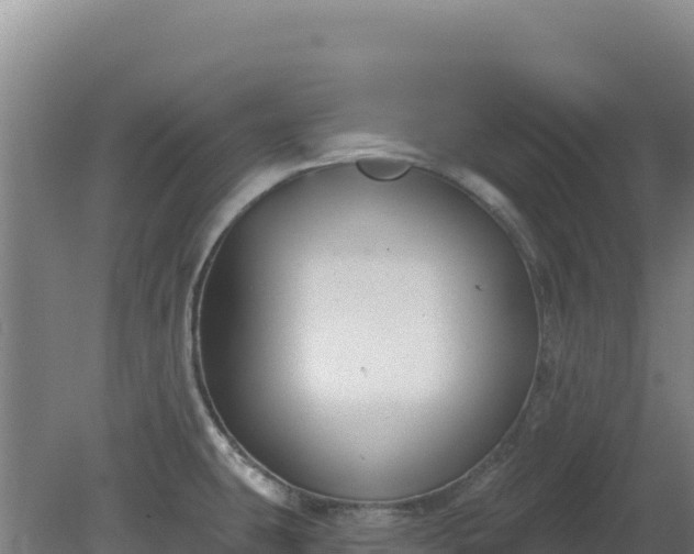 X0000080201431200612152028