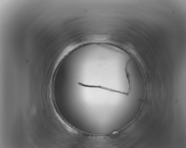 X0000080201432200612152028