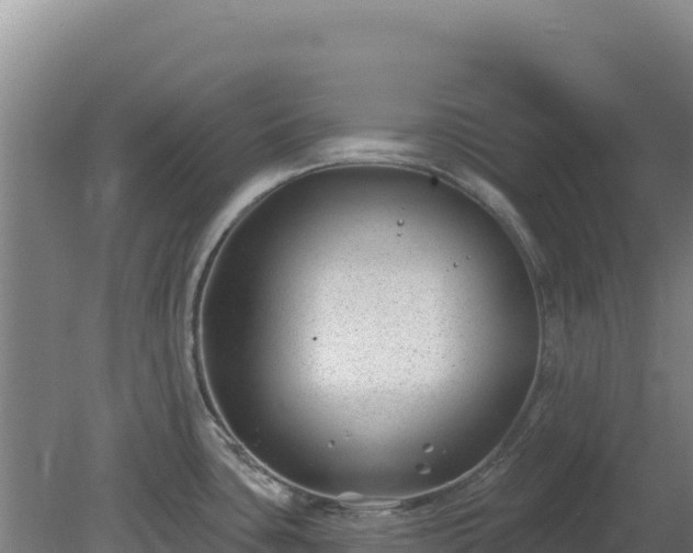 X0000080201435200612152029