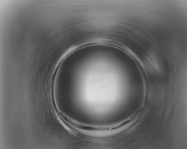 X0000080201437200612152029