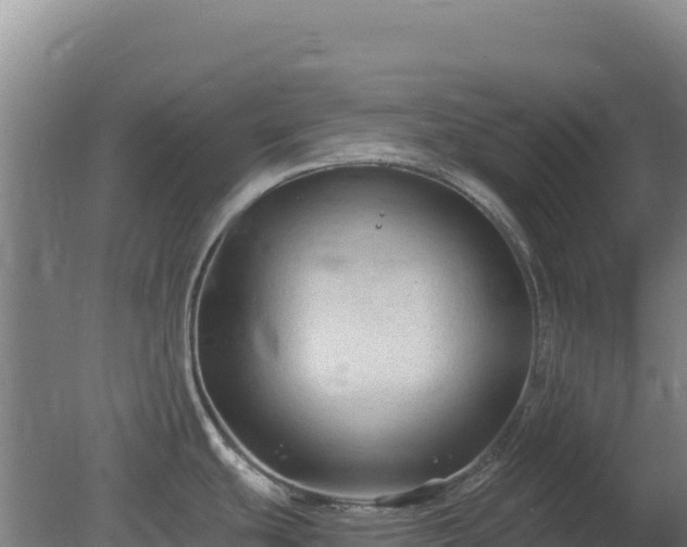 X0000080201439200612152029