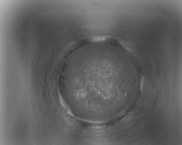 X0000080201441200612152028