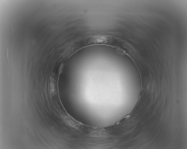 X0000080201442200612152028