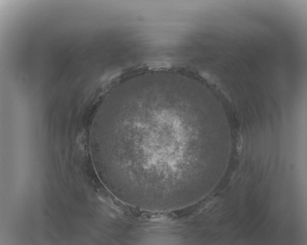 X0000080201445200612152028