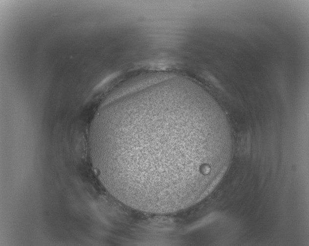 X0000080201446200612152028